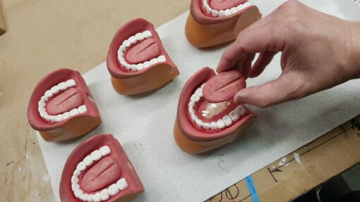 Hand demonstrating dental models with removable tongues.